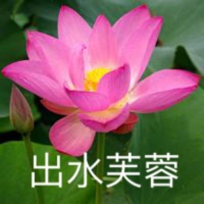 疯趣格斗之皇最新版本下载